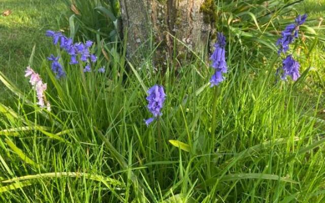 Ashbrook House Apartments