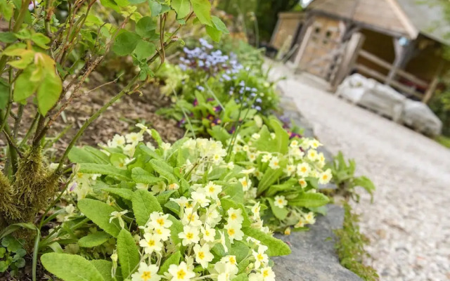 Mimi's Cottage