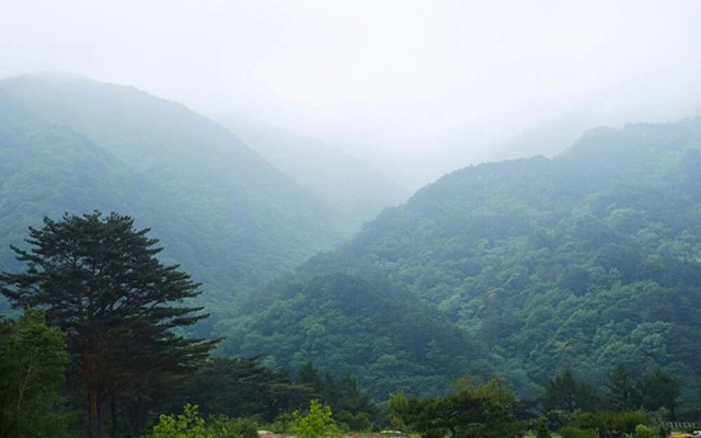 Yangyang Denver House Pension