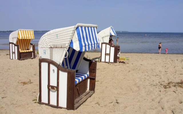 Küstenseeschwalbe