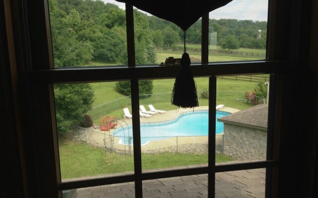 The Dragonfly Bed and Breakfast