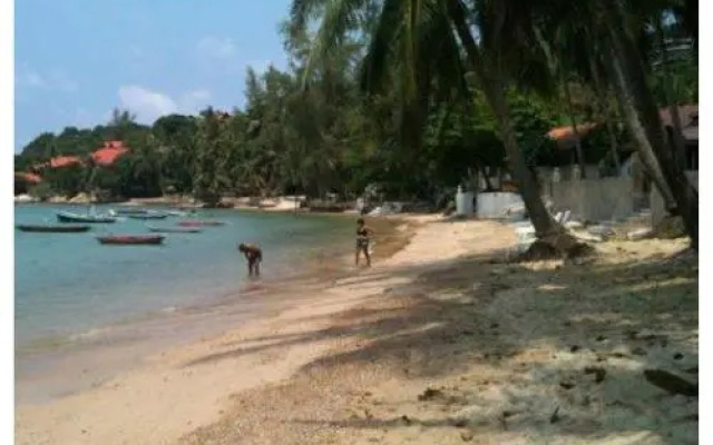 Jungle Hut Bungalows & Hotel