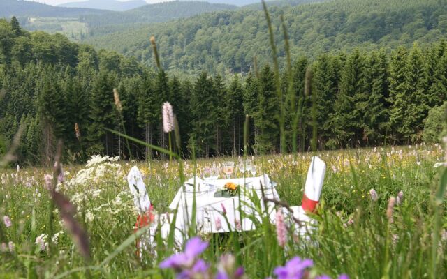 Ferienhaus Willkommen