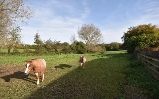 Somerton Farm the Perfect Family Getaway