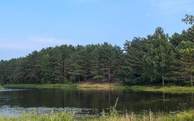 Romantic Attic Apartment Druskininkai