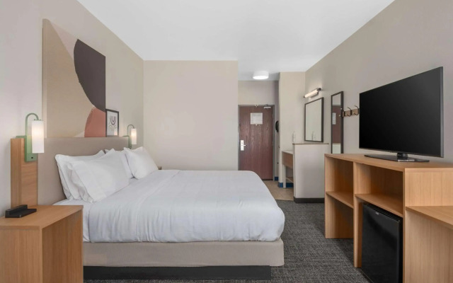 Spark by Hilton Minot