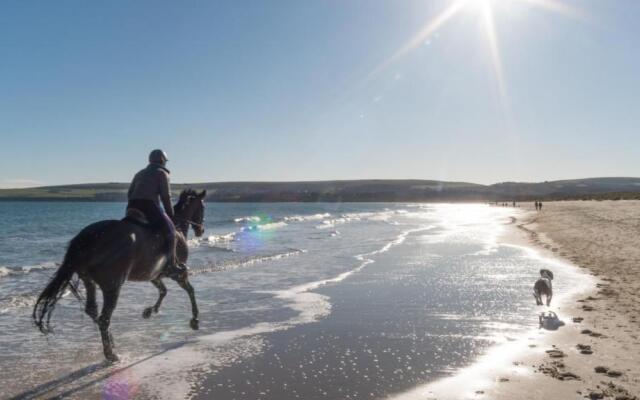 Seascapes, Sandbanks