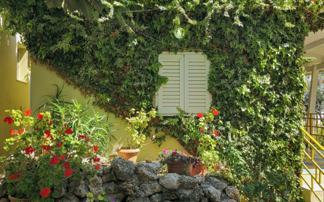 Hotel villa Petro