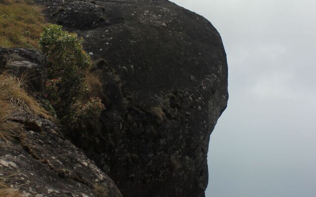 Spice Tree Munnar