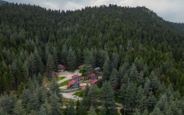 Baskonus Yaylasi Orman Evleri