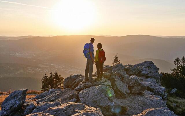 Apartments, Bodenmais