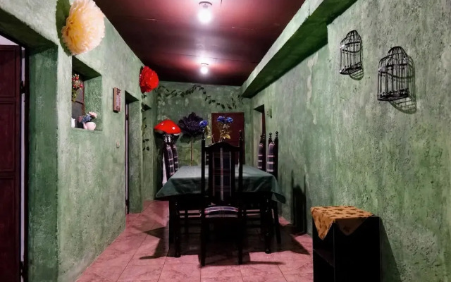 Wonderland Hostel