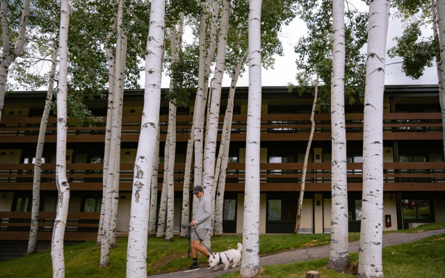 Wildwood Snowmass