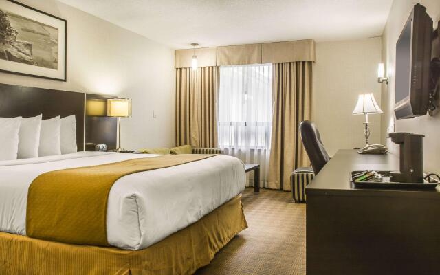 Quality Hotel
