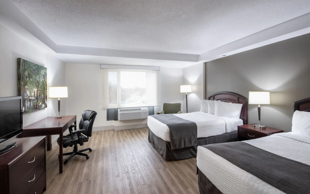 Viscount Gort Hotel