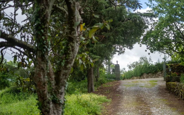 Rustic Terrace2 Bedrooms Farm House