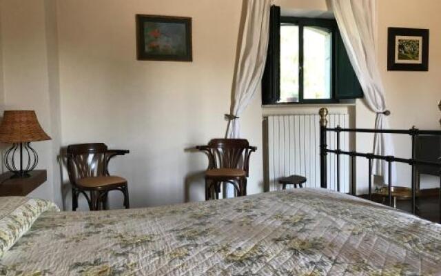 Carrera Della Regina