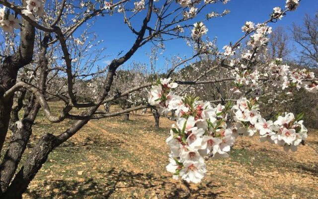 Le Clos des Collines. Chambre d'hôtes