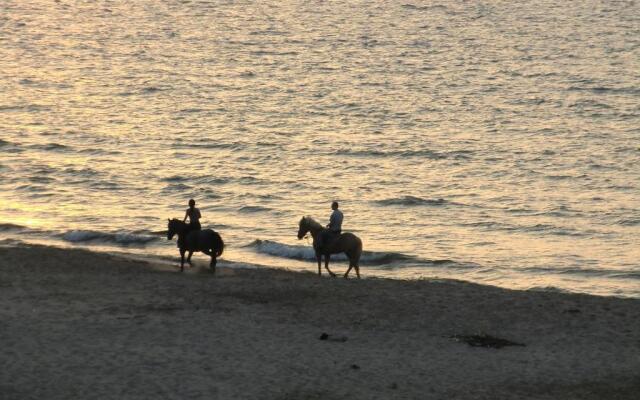 Affittacamere Windsurf