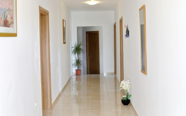 Room Aleksandra - 10 m from sea: R7 Bibinje, Zadar riviera