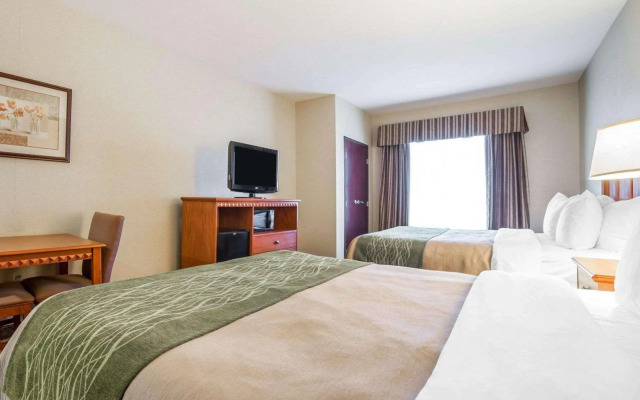 Comfort Inn & Suites Las Vegas - Nellis