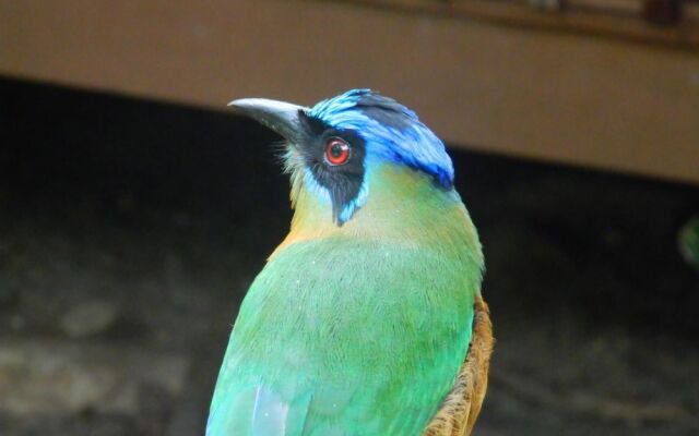 Beloalter Hotel Casa do Saulo