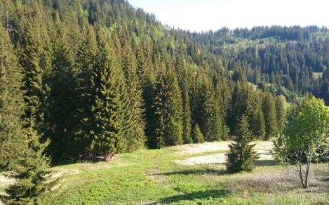 Hotel Restaurant Les Rosieres