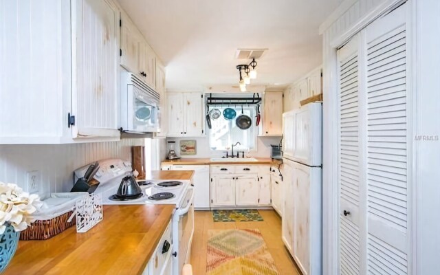 Angelfish Apartment 3