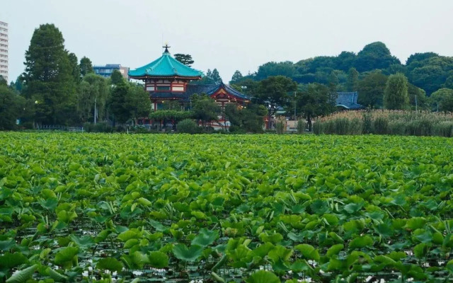 Tora Hotel Ueno - Vacation STAY 52806v