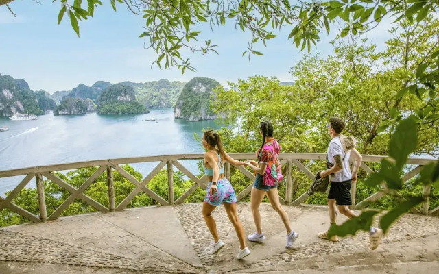 Ambassador Cruise Halong Bay