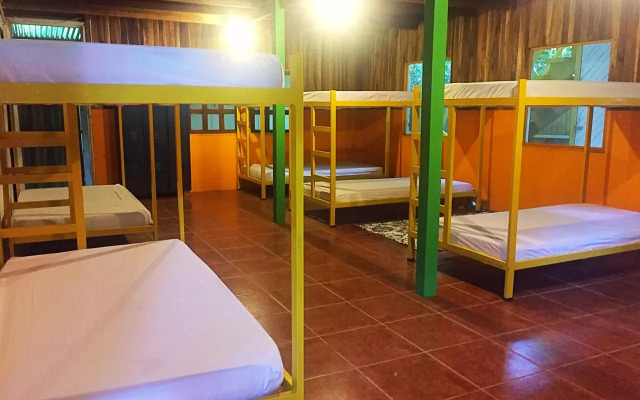 Madre Selva Jungle Hostel