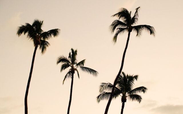 Beautiful Villa With Private Pool, Bali Villa 2072