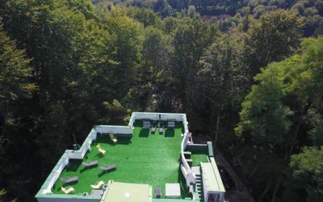 Former Ceausescu'S Vila Crizantema