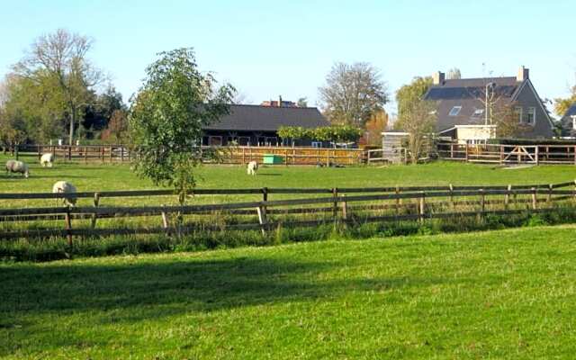 B&B Biesehof