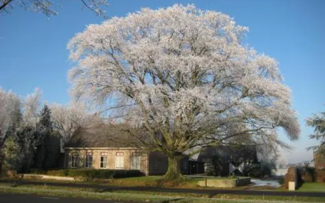 B&B Huize de Rode Beuk