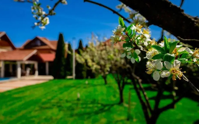 . TRANSYLVANIA HILLS Pensiune turistica