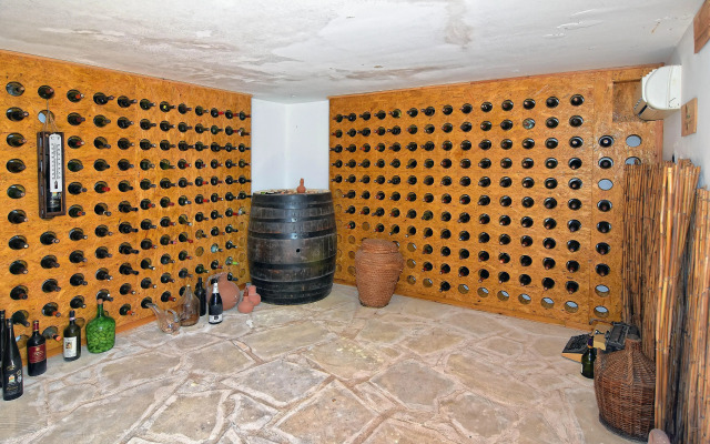 Dionysos Deluxe Villa
