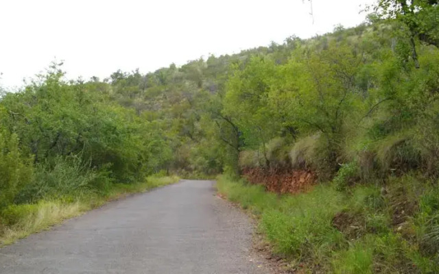 Mafuta Lodge