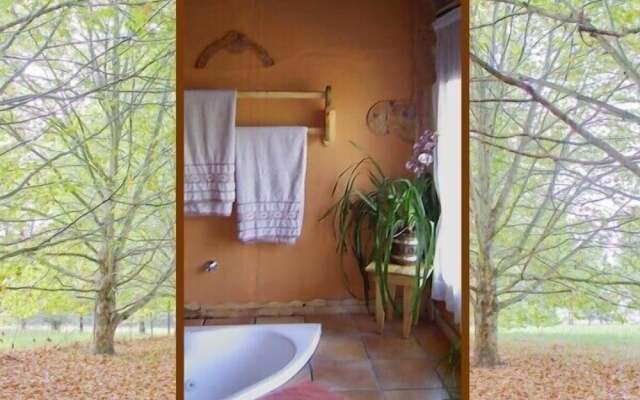 Sycamore Avenue Treehouses