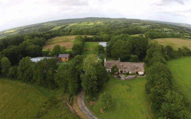 Hay Meadow Farm