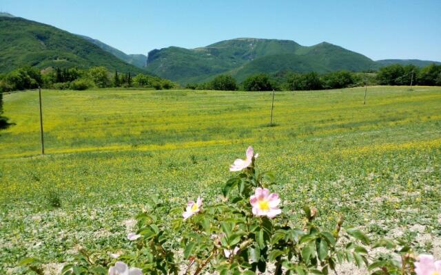 Agriturismo del Frontino - Lo Studio