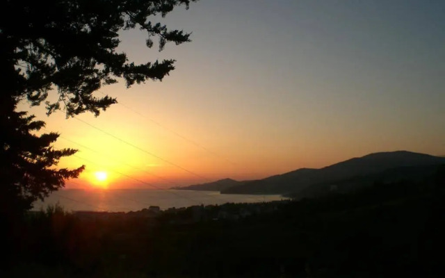 Arial Guest House