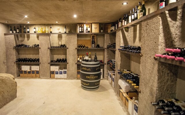 Ayres de Uco Lodge & Wine Lovers