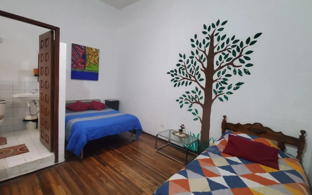 Casa de las Culturas San Marcos
