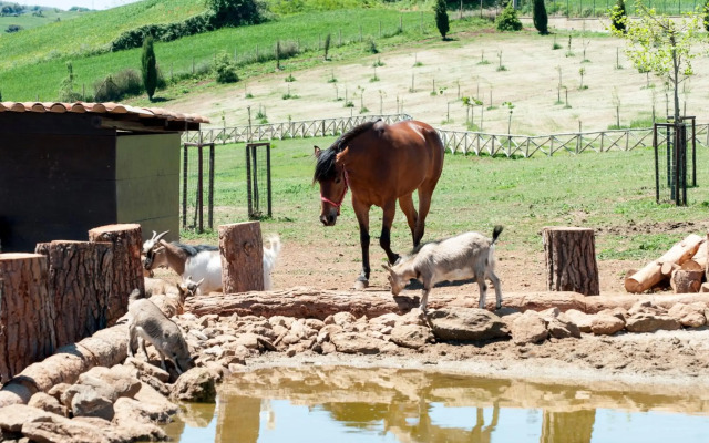 Popilia Country Resort
