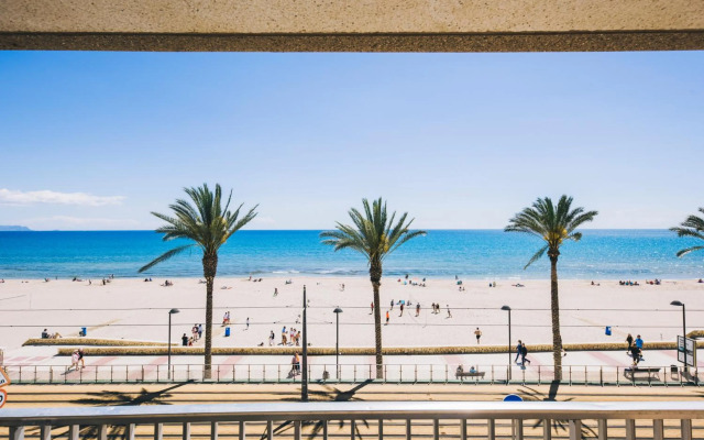 Glp Raspeig Dreamsea