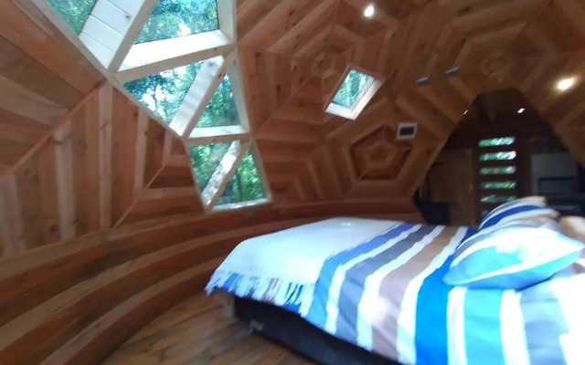 Domo Bosque Nativo Villarrica comuna