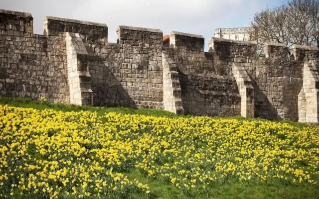 Superb Loft Apartment Steps Away From the Minster