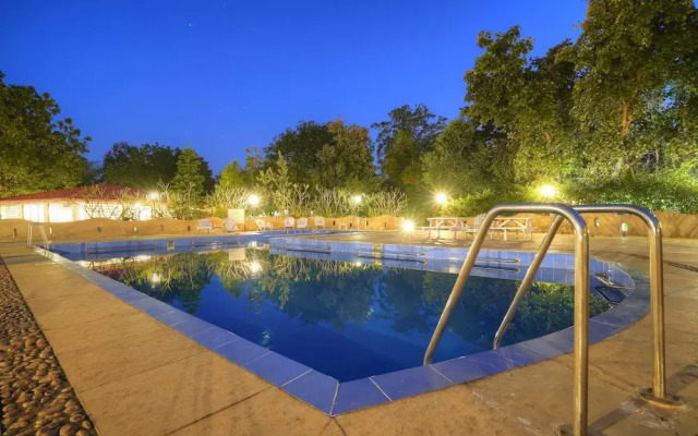 Bundela Bandhavgarh by Octave