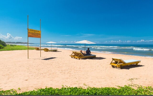 Palm Beach Inn and Sea Shells Cabanas